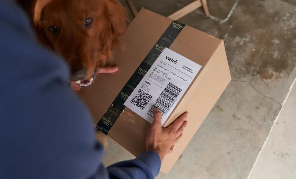 Person holding a cardboard box with a shipping label while a brown dog sniffs it.